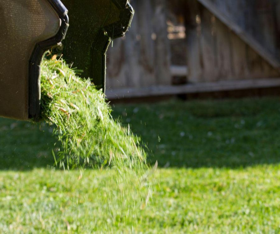 Mythbuster Monday Can Horses Eat Grass Clippings? HORSE NATION