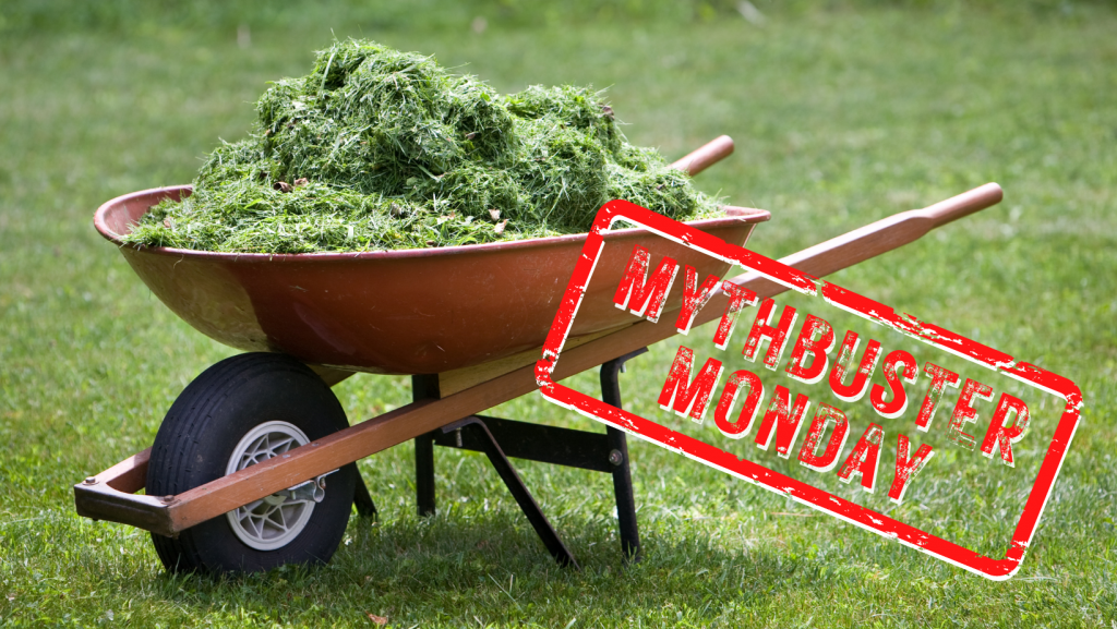 Mythbuster Monday Can Horses Eat Grass Clippings? HORSE NATION