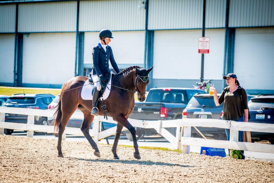 Thoroughbred Logic: The Warm Up Arena | HORSE NATION