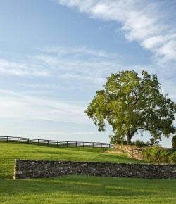 Fantasy Farm Friday: Historic Rockburn Farm