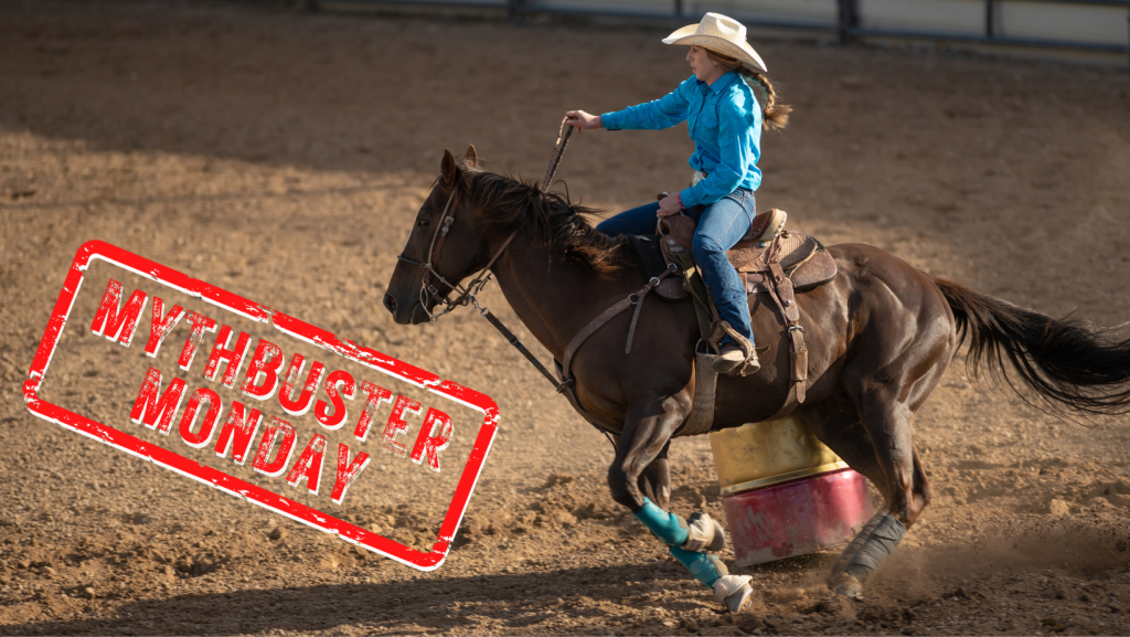 Mythbuster Monday Riding a Horse in a Tie Down/Standing Martingale