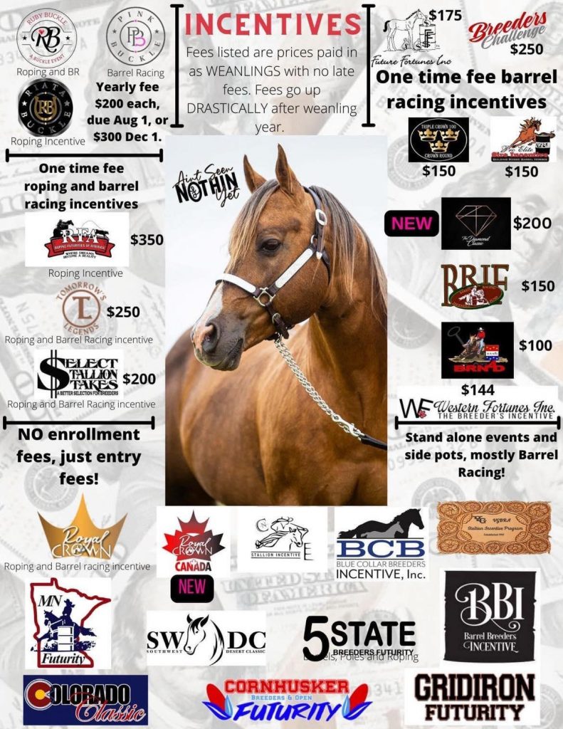 NFR Barrel Racing Recap From an ‘Aint Seen Nothin Yet’ Offspring Owner ...