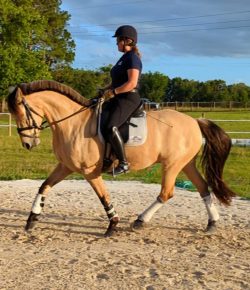 Training in the Right Way: Using the Lower Leg