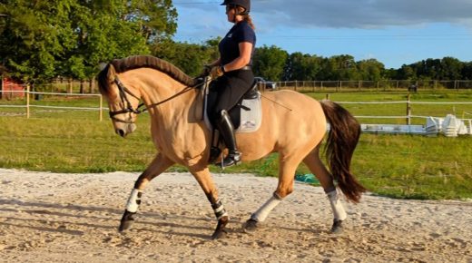 Training in the Right Way: Using the Lower Leg