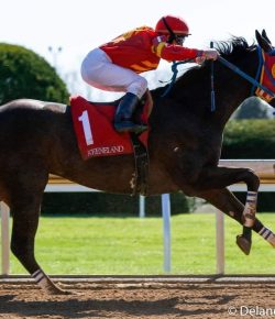 Reader Photo Challenge: Horses on the Track