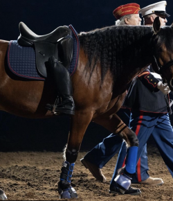 #goriding Grams of the Week