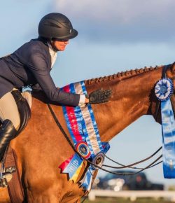 Reader Photo Challenge: Horse Pats