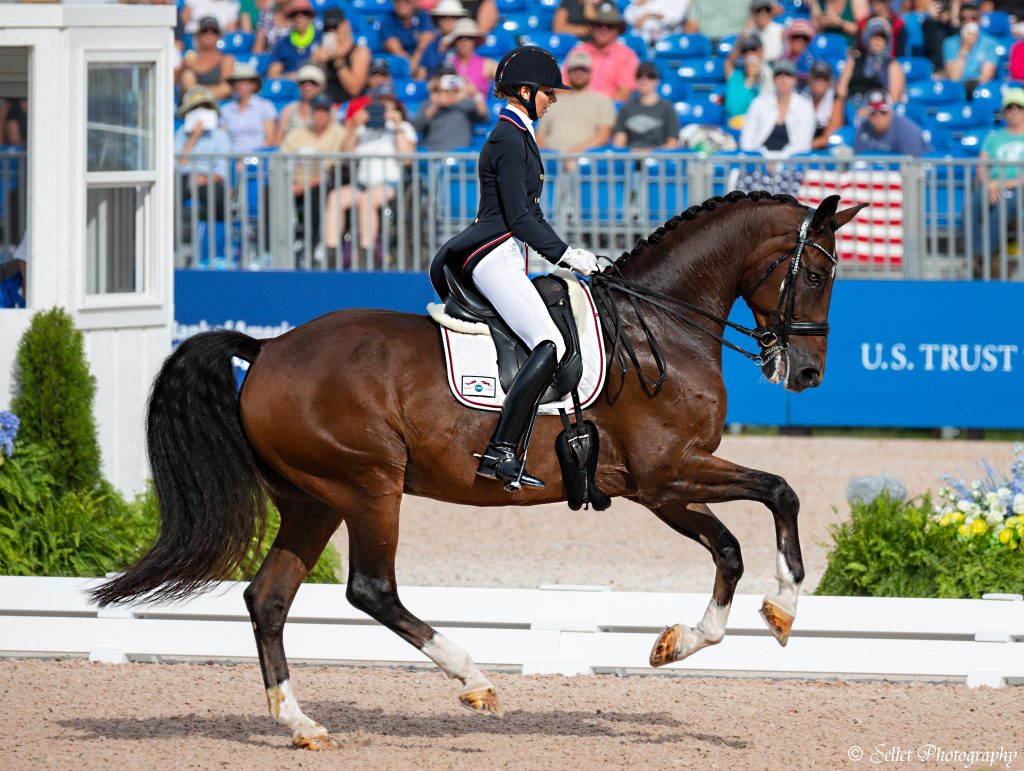 Is hobby horse an olympic sport