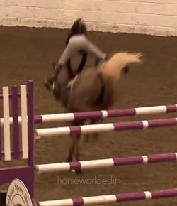 Tuesday Video: Wild Ride