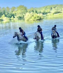 Reader Photo Challenge: Water Rides