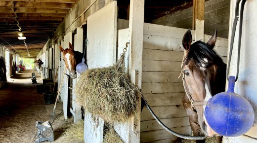 Thoroughbred Logic, Presented by Kentucky Performance Products: Right off the Track Protocol, a Refresher