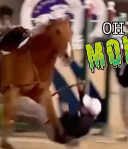 ‘Oh Crap’ Monday: This Horse Chose Violence