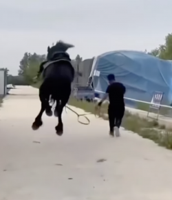 ‘Oh Crap’ Monday: Fall Is in the Air