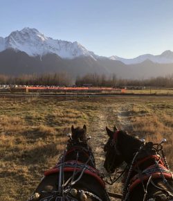 Reader Photo Challenge: Fall Foliage