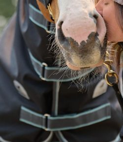 SmartPak Monday Morning Feed: Big Blanket Giveaway 2024