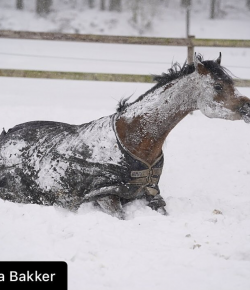 #goriding Grams of the Week