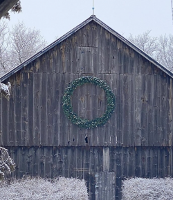 #goriding Grams of the Week