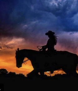 #goriding Grams of the Week