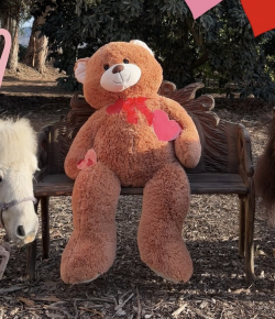 #goriding Grams of the Week