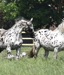 #goriding Grams of the Week