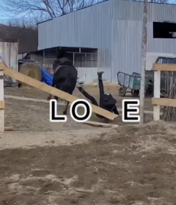 ‘Oh Crap’ Monday: What Is Love?