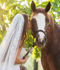 Ask AI Equestrian Edition: The Non-Horse Husband’s Roast of His Equestrian Wife