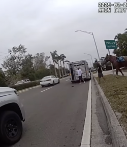 ‘Oh Crap’ Monday: Expectation vs. Reality…