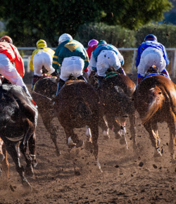 Road to the 2025 Kentucky Derby: Key Races to Watch