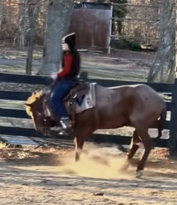 ‘Oh Crap’ Monday: At Least She Stayed In the Saddle…