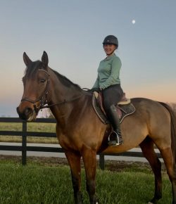 Ask AI Equestrian Edition: English Rider Roast