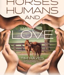 The Horsemanship Lessons That Changed My Life