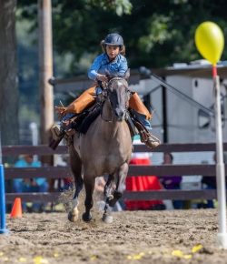 Catch Riding: Listening to the Horse’s Owner (and Not Unsolicited Advice From Others)