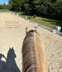Training in the Right Way: Positive vs Negative Riding