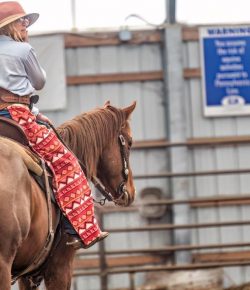 The Horse Show Hangover: It’s a Real Thing