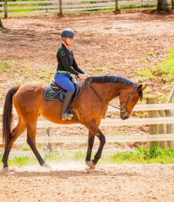 Thoroughbred Logic, Presented by Kentucky Performance Products: To Cookie or Not to Cookie