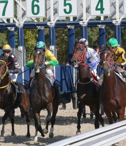 In the News: Florida Senate Committee Passes Decoupling Bill