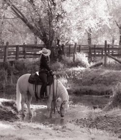 Reader Photo Challenge: Black and White