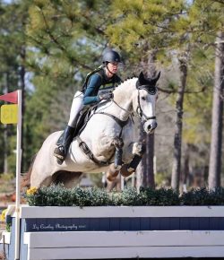 Thoroughbred Logic, Presented by Kentucky Performance Products: Timelines and Expectations