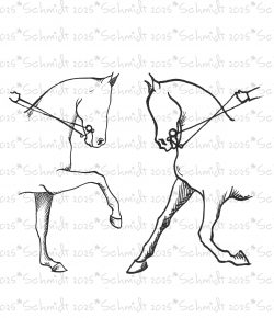 Unpopular Opinion Time: Dressage Needs Another Half Halt