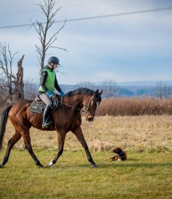 Thoroughbred Logic, Presented by Kentucky Performance Products: Your Horse Is a Croissant