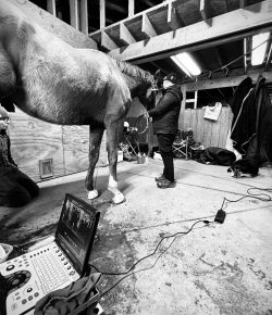 Thoroughbred Logic, Presented by Kentucky Performance Products: When Their Hind End Is Sore