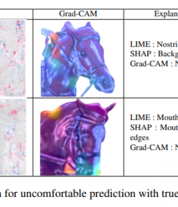 In The News: Using AI to Police Horse Welfare