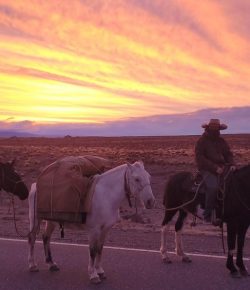 Five Years on Horseback: Cold and Wind
