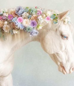 Reader Photo Challenge: Spring Photos