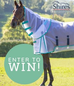 SmartPak Monday Morning Feed: Bugs Be Gone Giveaway