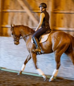 Thoroughbred Logic, Presented by Kentucky Performance Products: An Exercise for Rhythm