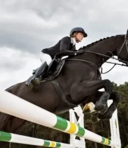 Weekend Wellness, Presented by Kentucky Performance Products: Endocrine Disorders in the Equine Athlete
