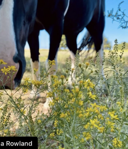 #goriding Grams of the … Month?