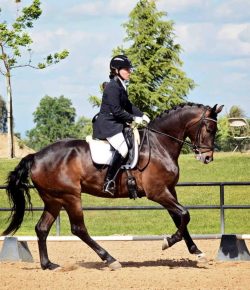 Training in the Right Way: The Rider’s Responsibility vs The Blame Game