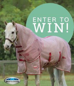 SmartPak Monday Morning Feed: More From the Bugs Be Gone Giveaway